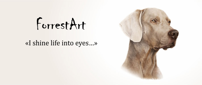 Timber ART ekrāna skats 3